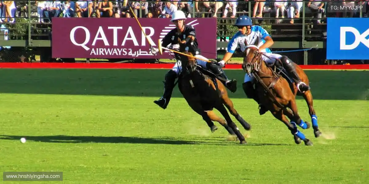 🏆冠军同款,周边好物助你闪耀赛场!